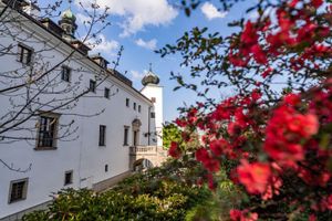 Alojamiento - Chateau Třešť