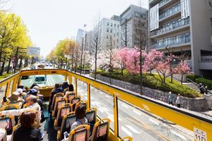 Actividad - Explora la ciudad de Osaka: Autobús de dos pisos descubierto - Boleto