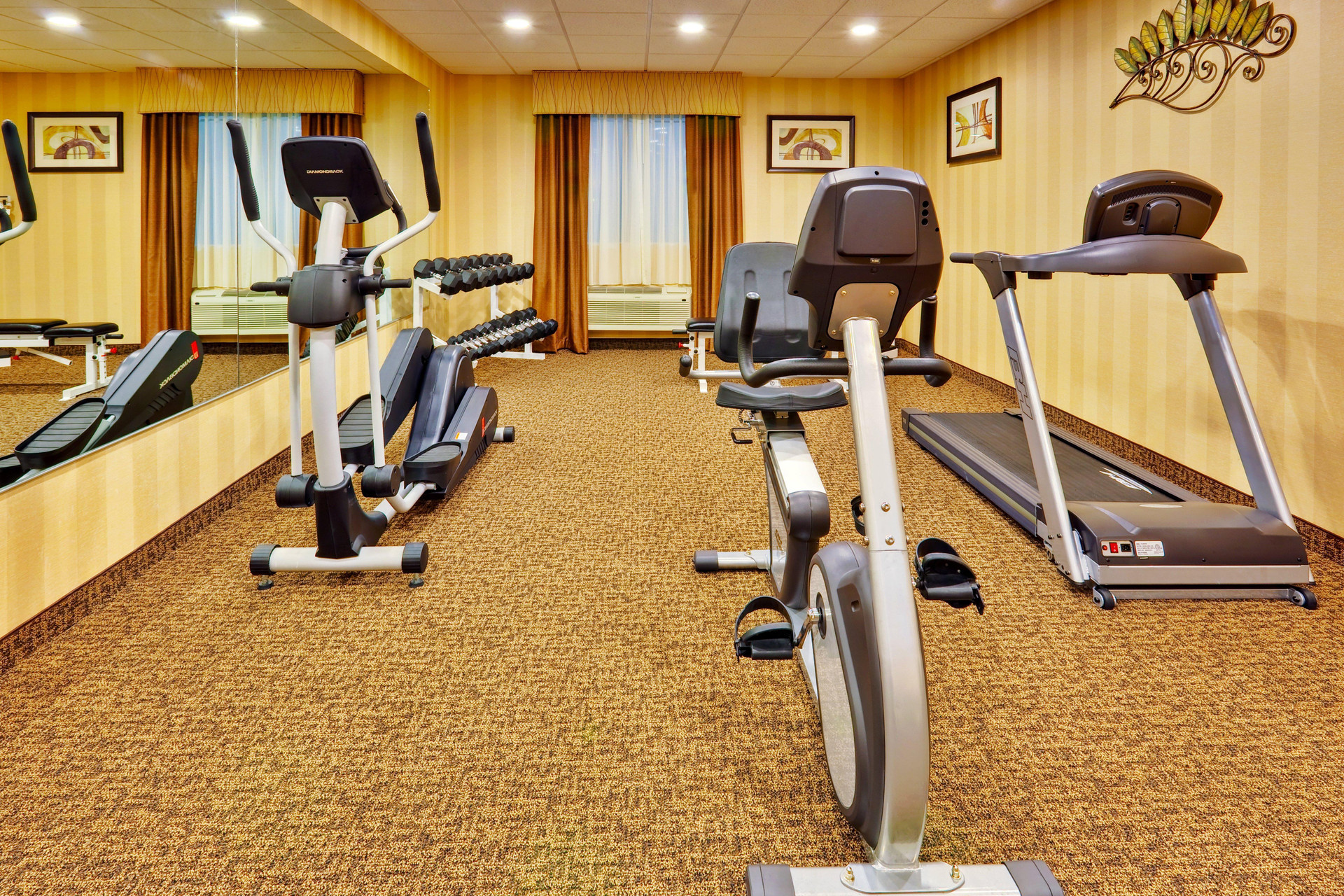 Instalaciones Recreativas Holiday Inn Express Hotel & Suites Byram
