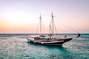 Actividad - Crucero con Cena Exclusiva