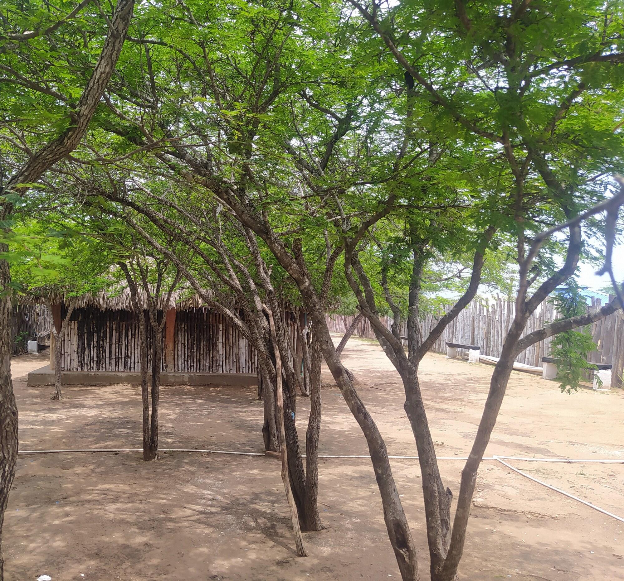 Restaurant Hostal CQ Camarones