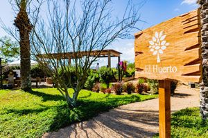 Hoteles en San Jose del Cabo con Jacuzzi