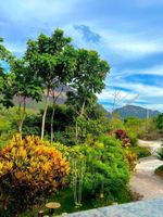 Alojamiento - Pousada Encanto dos Mognos