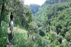 Actividad - Paseo a caballo con múltiples actividades en el Rancho – Tour de un día entero