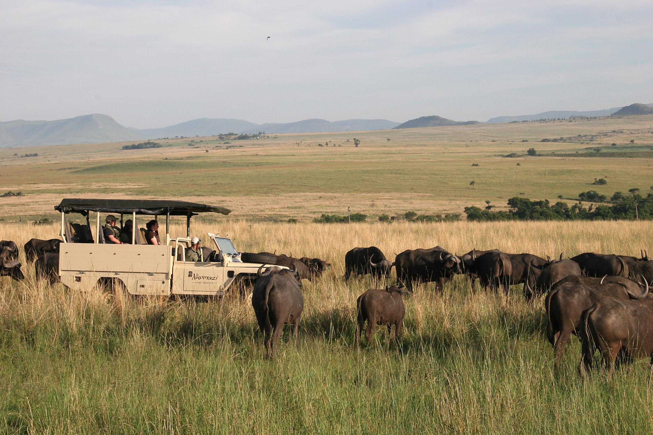 Vista Exterior Nkomazi Game Reserve by Newmark