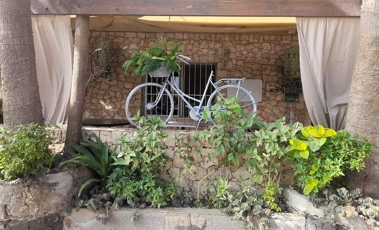 Vista Exterior Porta Do Vento