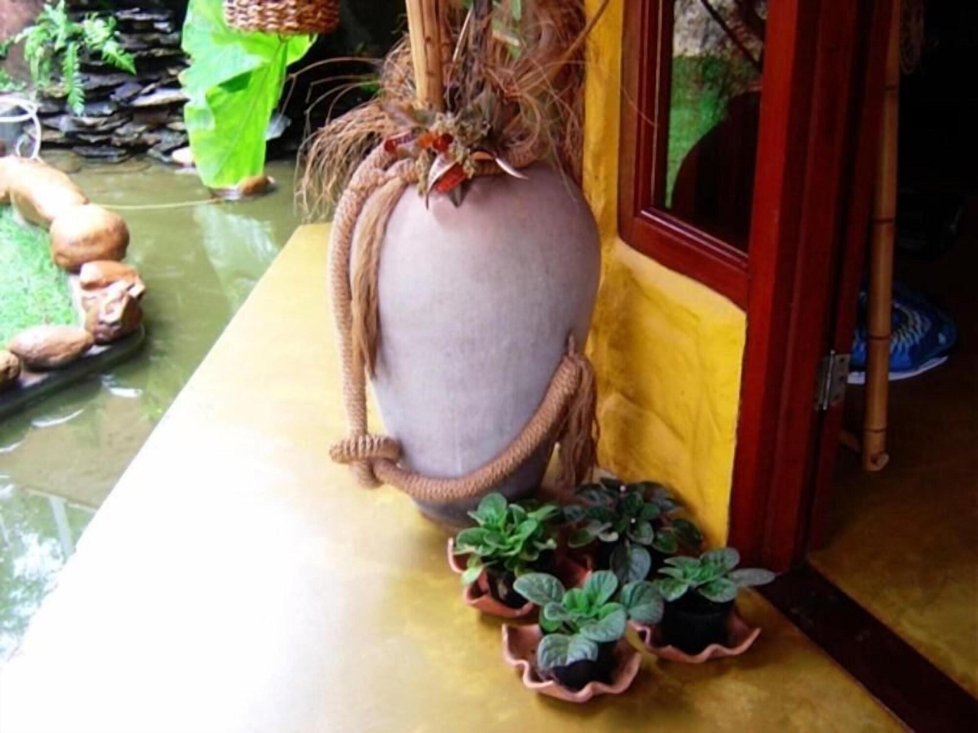 Spa Pousada Bambu Brasil