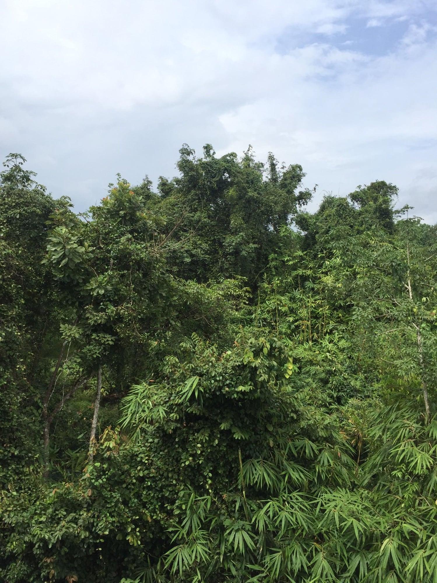 Vista Exterior Srisuksant Urban