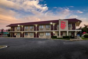 Alojamiento - Budget Inn Alexandria