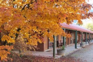 Alojamiento - Harrietville Snowline Hotel