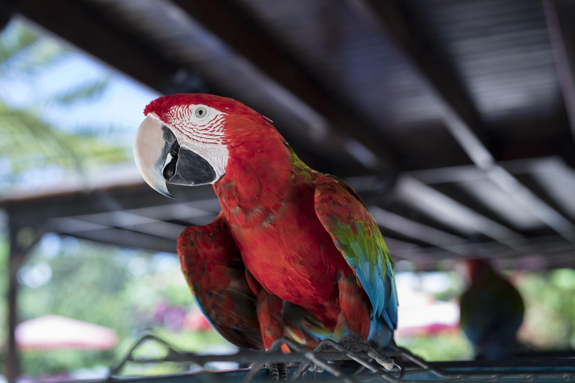 Vista Exterior Hotel Karia Princess