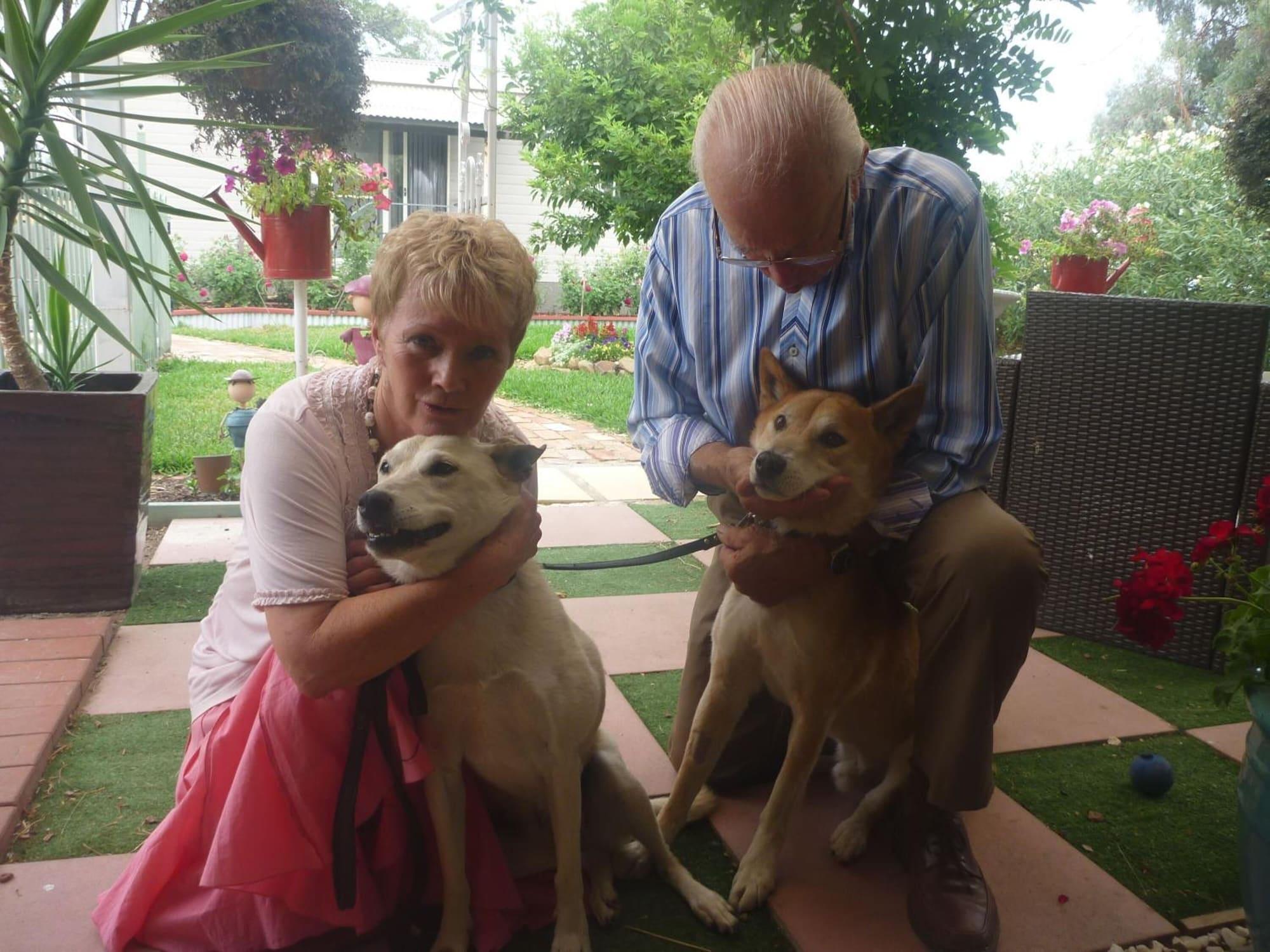 Instalaciones Recreativas Must Love Dogs B&b