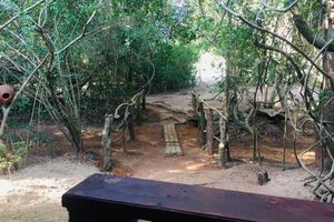 Alojamiento - Hidden Jungle Village Wilpattu