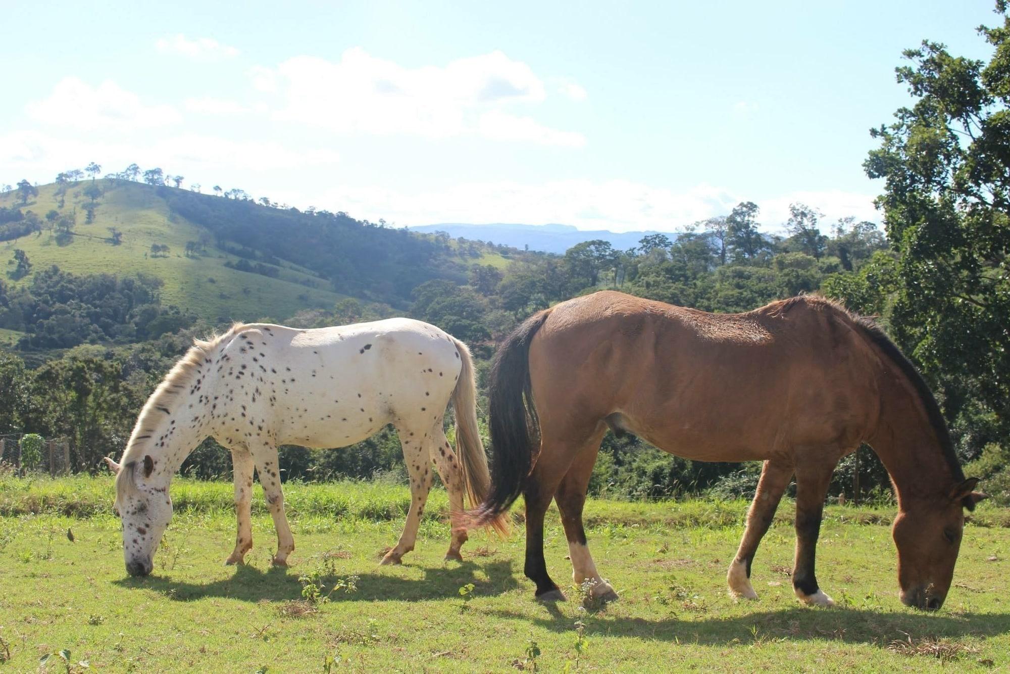 Instalaciones Recreativas Cachoeira do Macuco Boutique Hotel