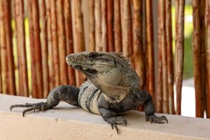 Alojamiento - Aquastar Hotel & Apartments