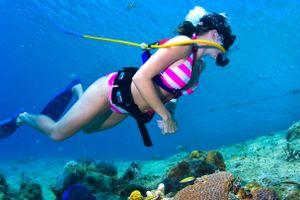 Actividad - Snuba en el paraiso