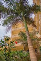 Alojamiento - Thebes Hotel Luxor