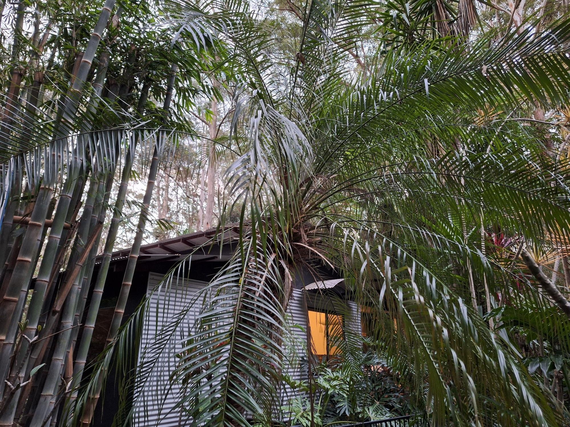 Habitación Alaya Escape