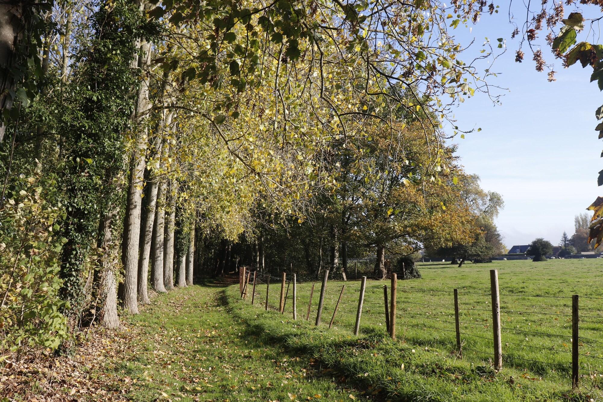 Vista Exterior Le Domaine Saint Ange