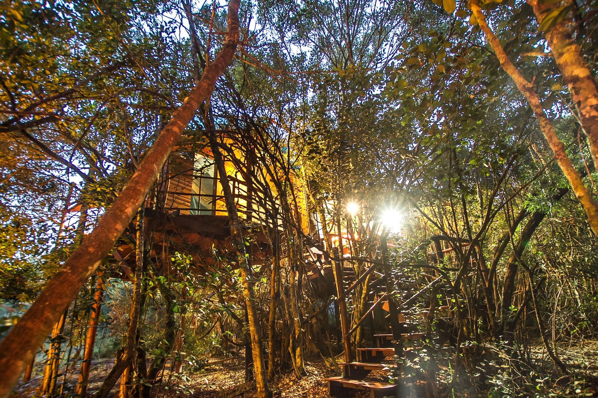 Vista Exterior Teniqua Treetops
