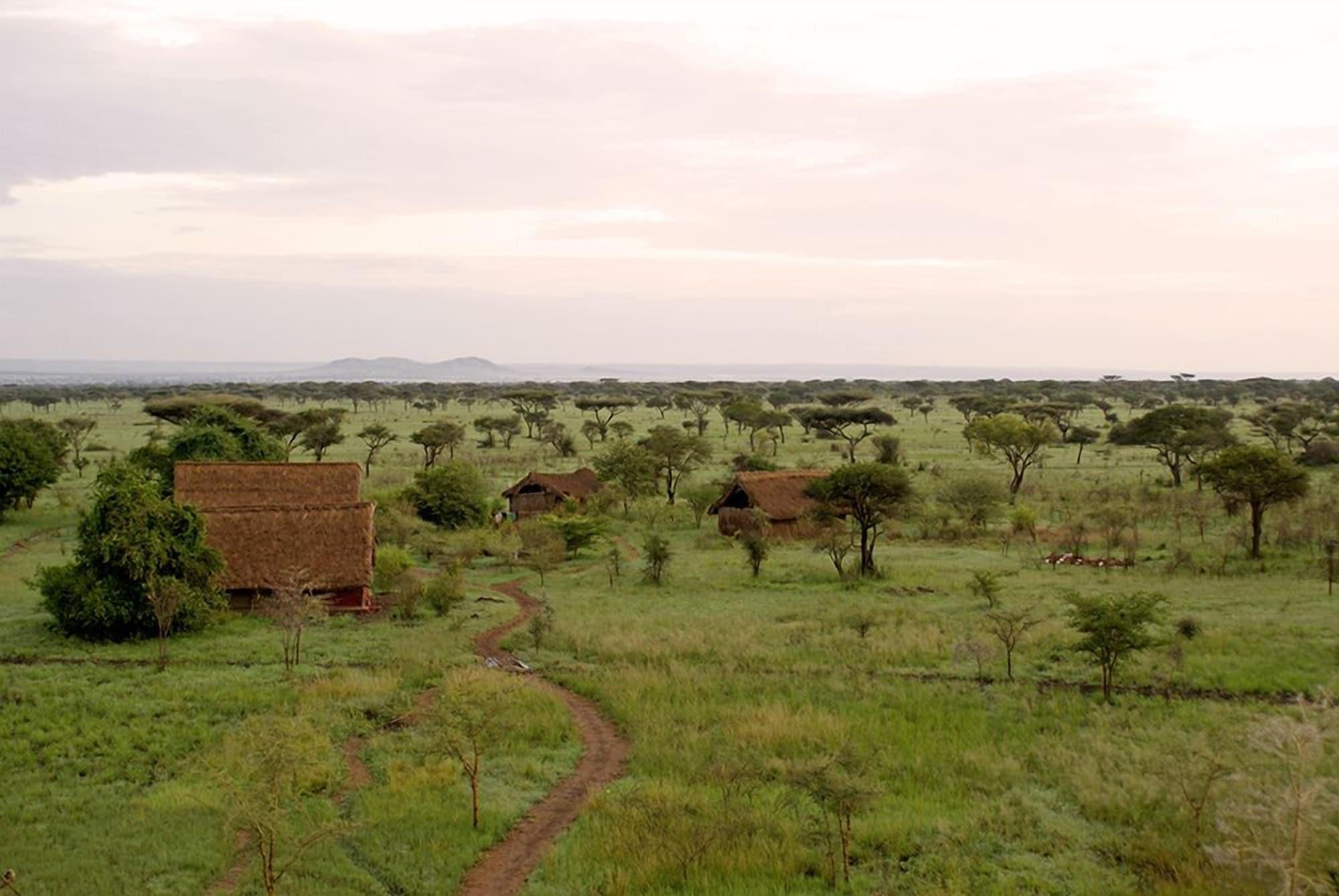 Robanda Safari Camp - Best Day