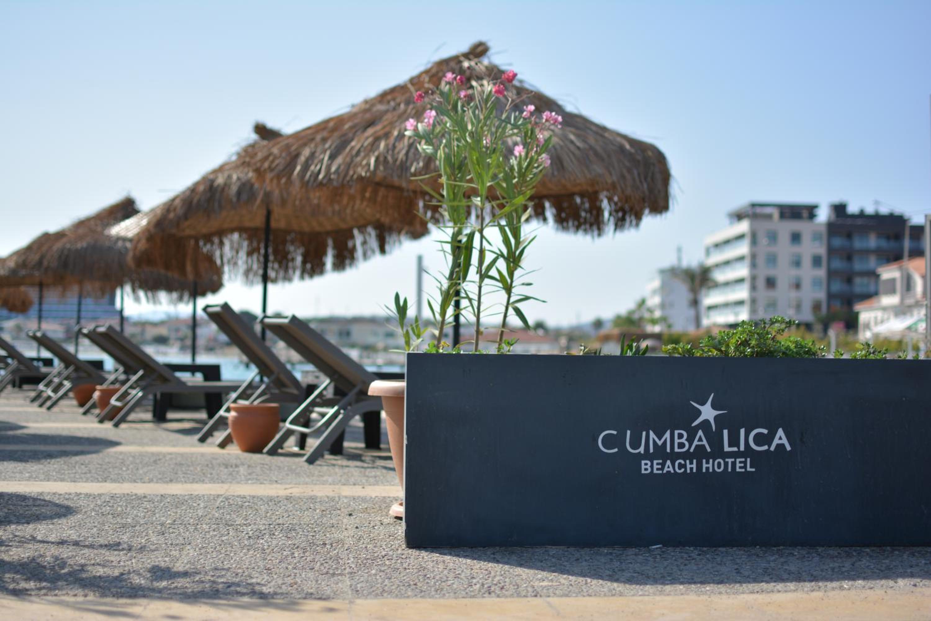 Playa Marge Hotel (Adults Only 12+)