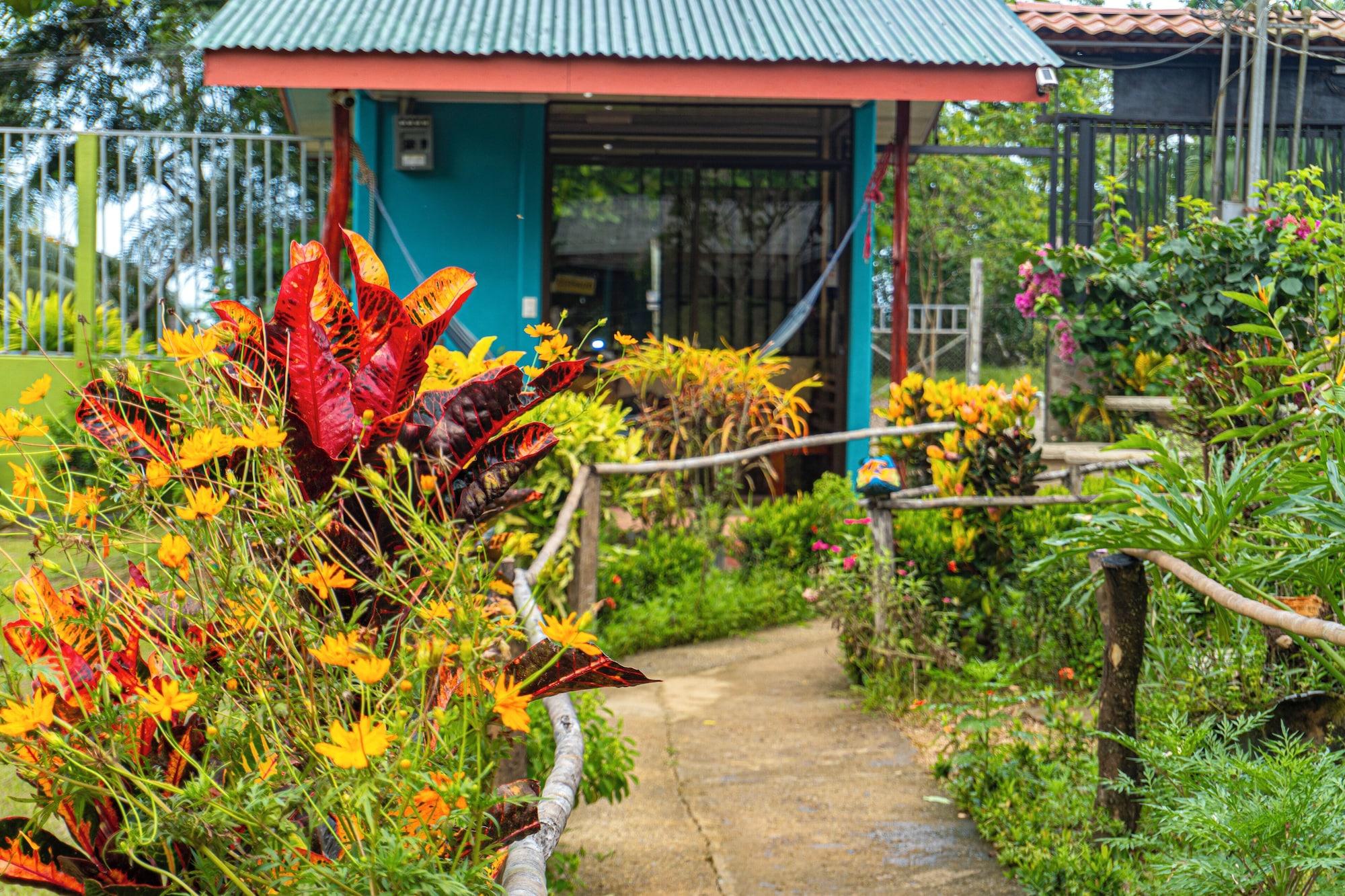 Vista Lobby Casa Gitana Corcovado