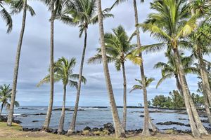 Alquiler Vacacional - Hilo Oasis - 32 Mi to Volcanoes National Park!