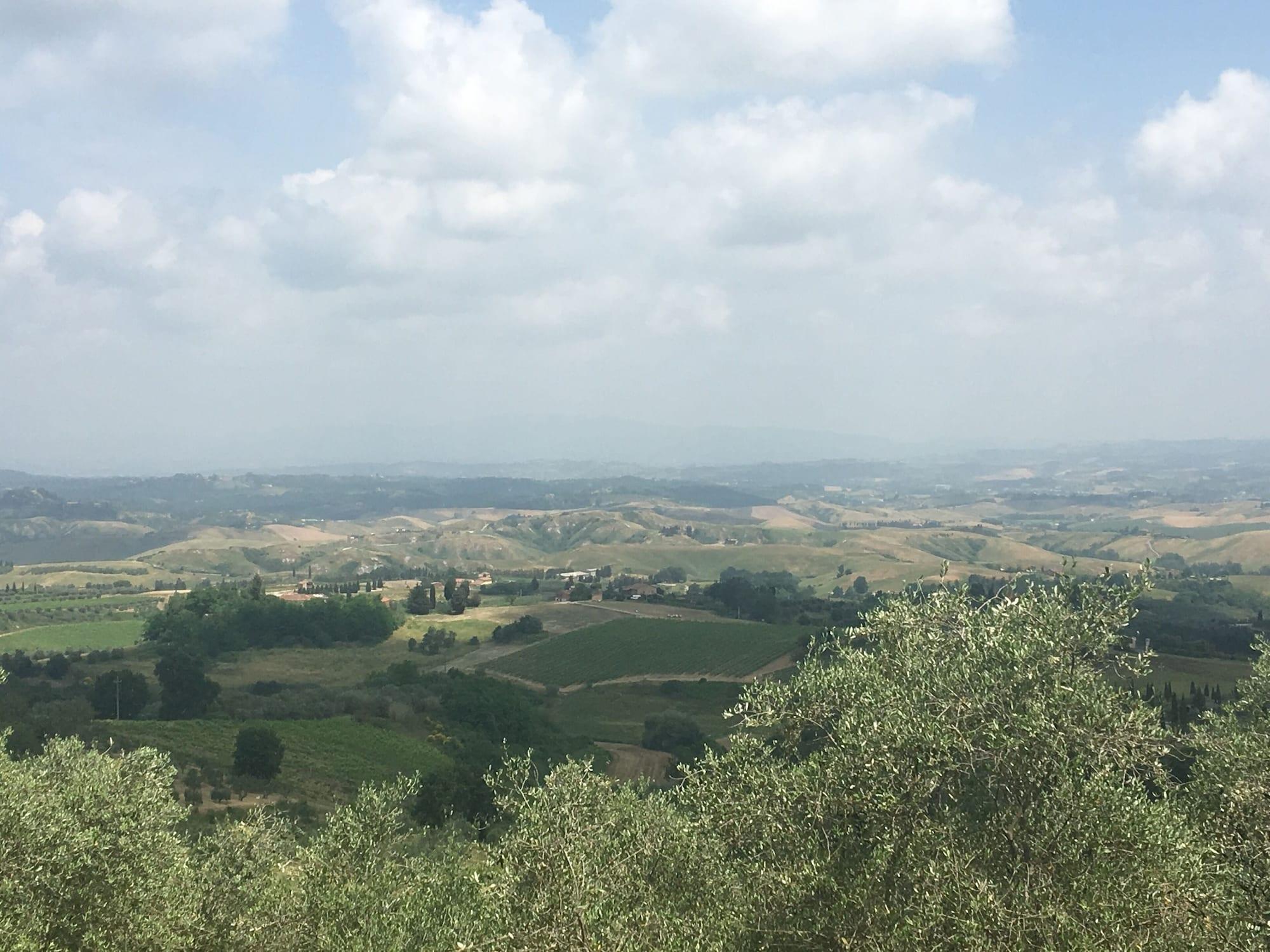 Varios Rigone in Chianti
