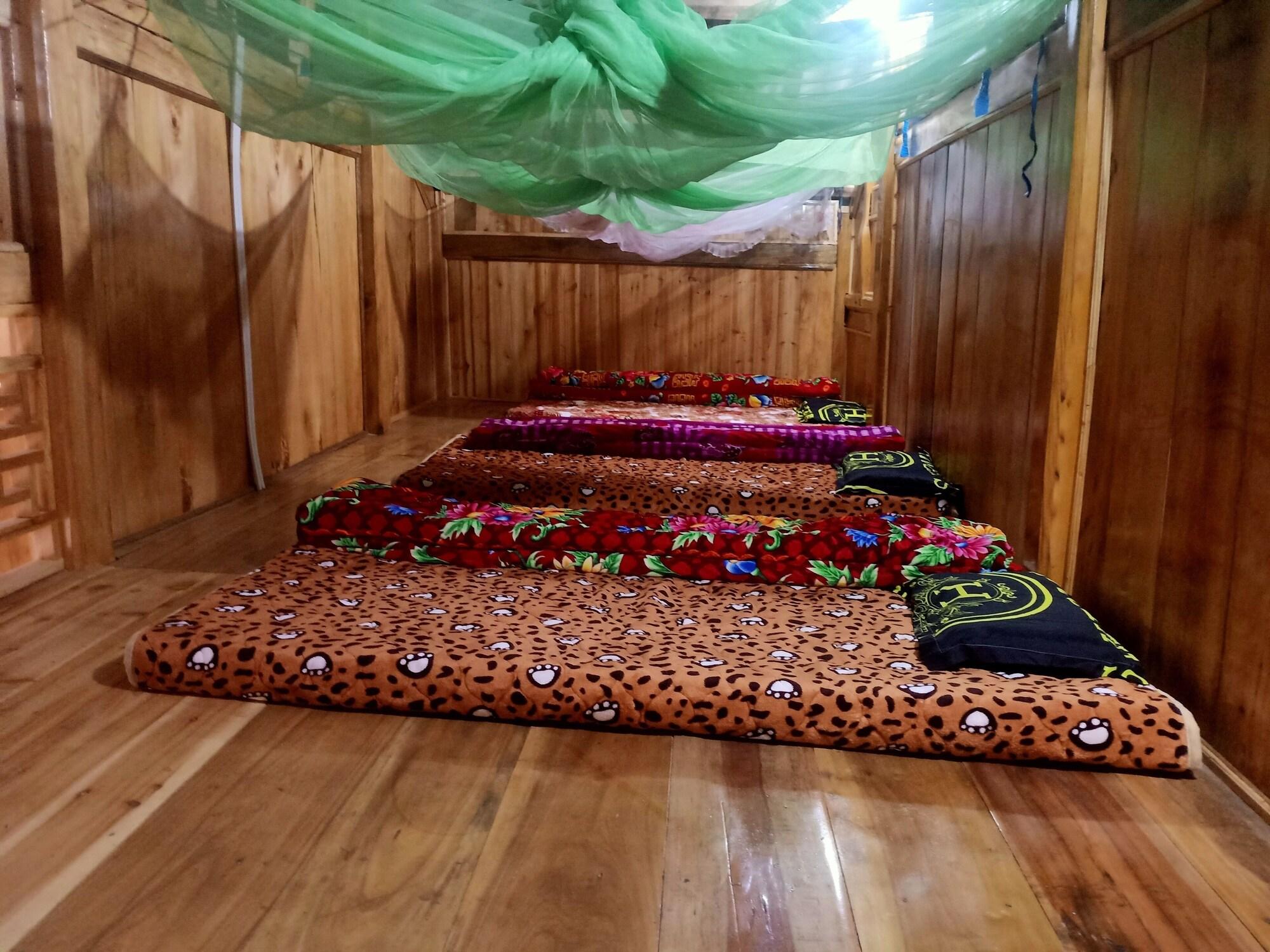 Varios Buffalo Eco House