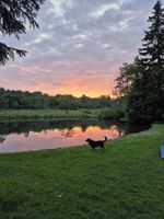 Alquiler Vacacional - New Elk Mtn Listing: Cozy family ski house -- 2 min from Elk!