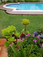 Alojamiento - Perla Maya Hotel