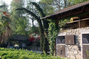 Alojamiento - La Cucchetta