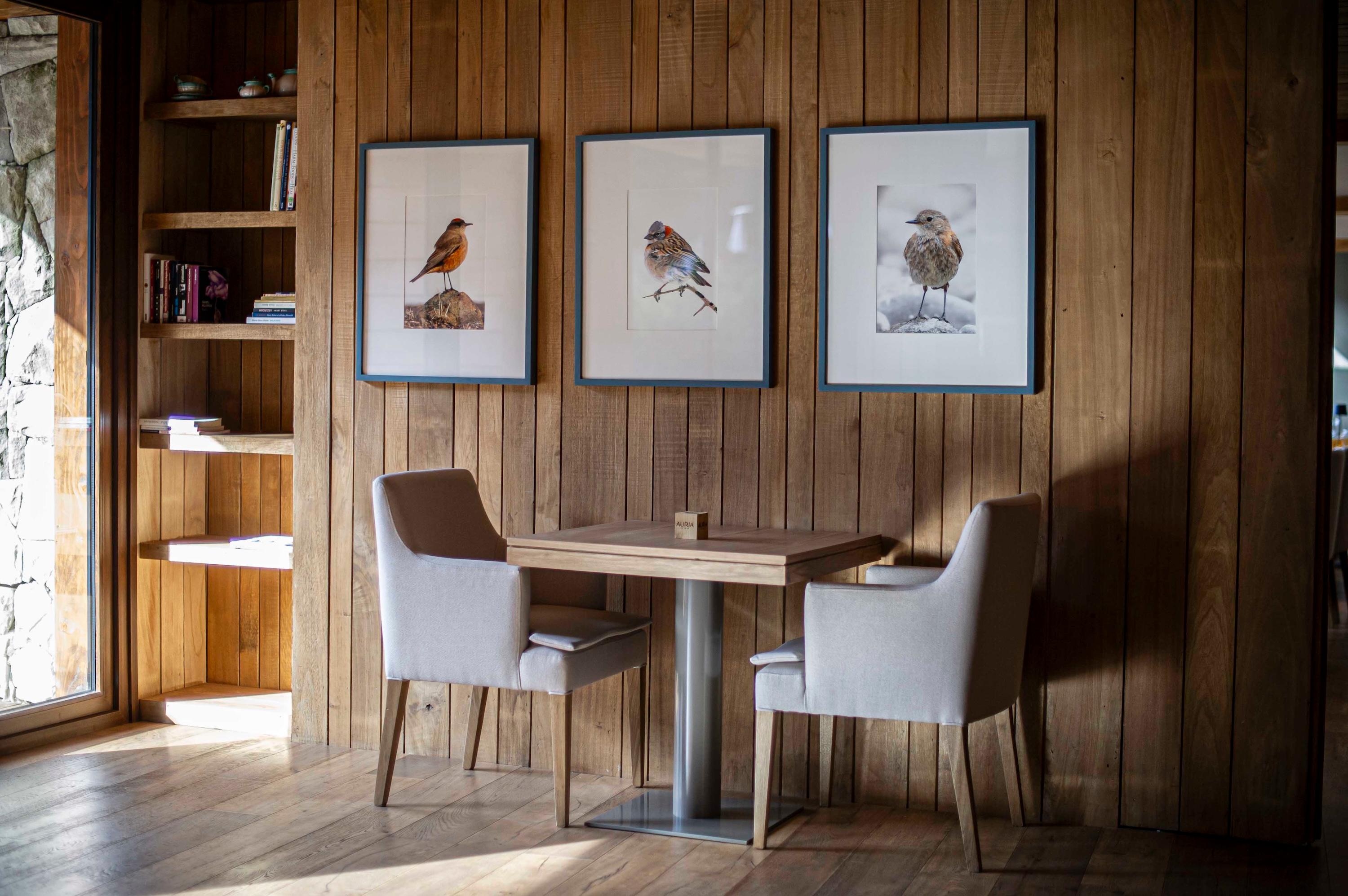 Comodidades del Alojamiento Auria Angostura