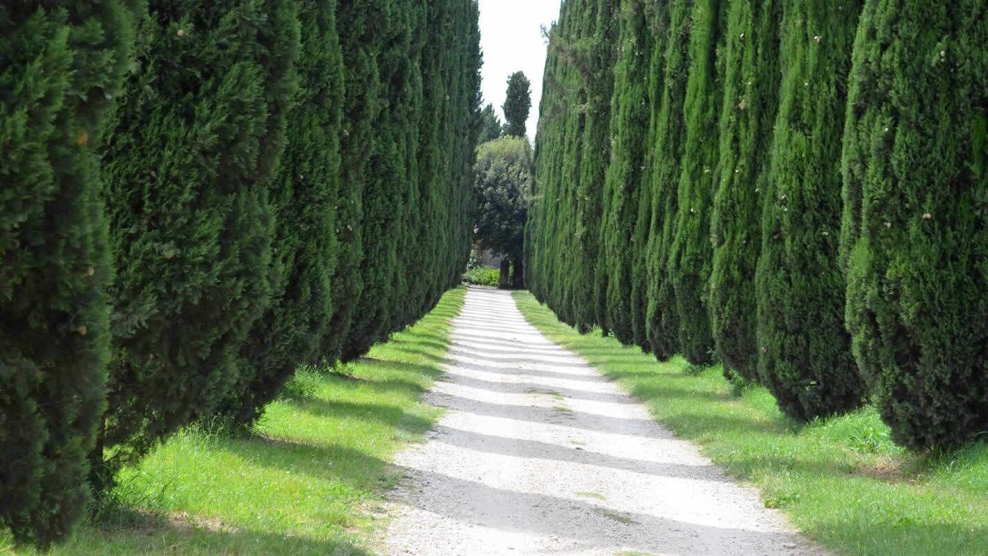 Vista Exterior Casale Colleoni