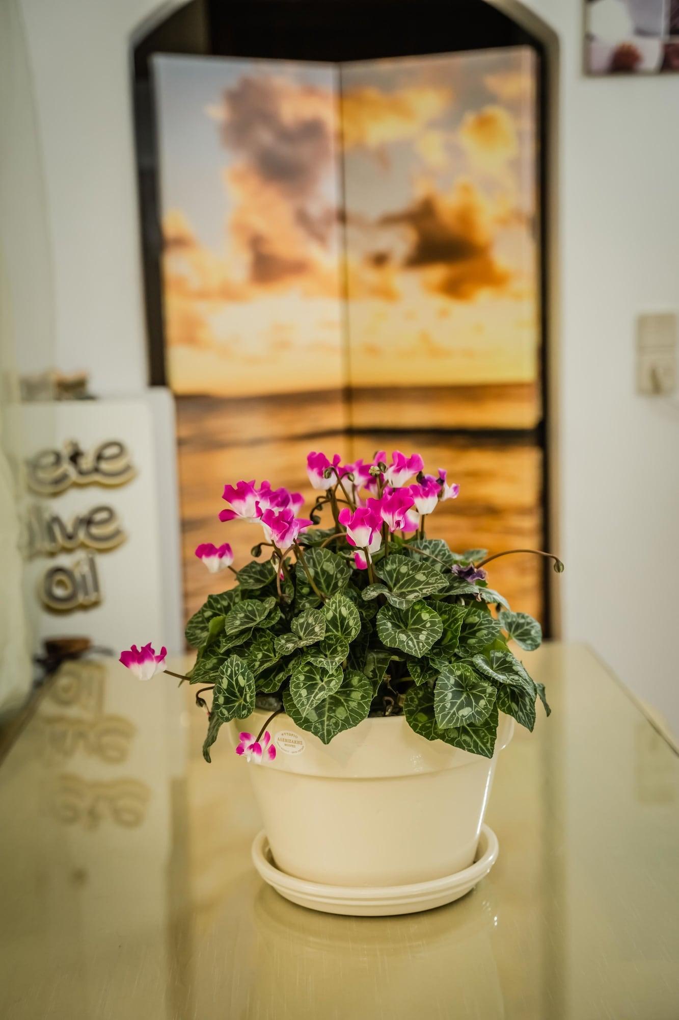 Restaurant Matala Dimitris Villa