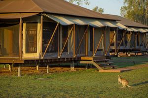 Alojamiento - Wildman Wilderness Lodge