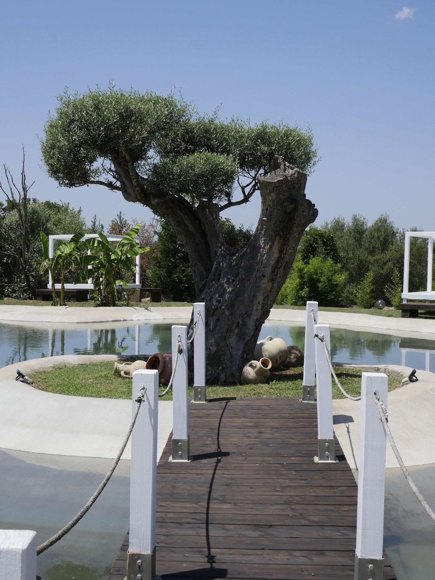 Varios Agriturismo Cerrosughero