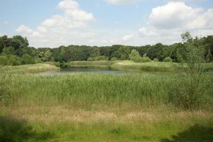 Alojamiento - Van der Valk Gilze - Rijen