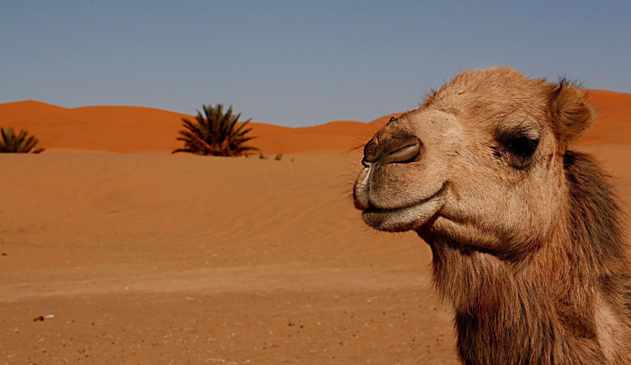 Instalaciones Recreativas Kanz Erremal