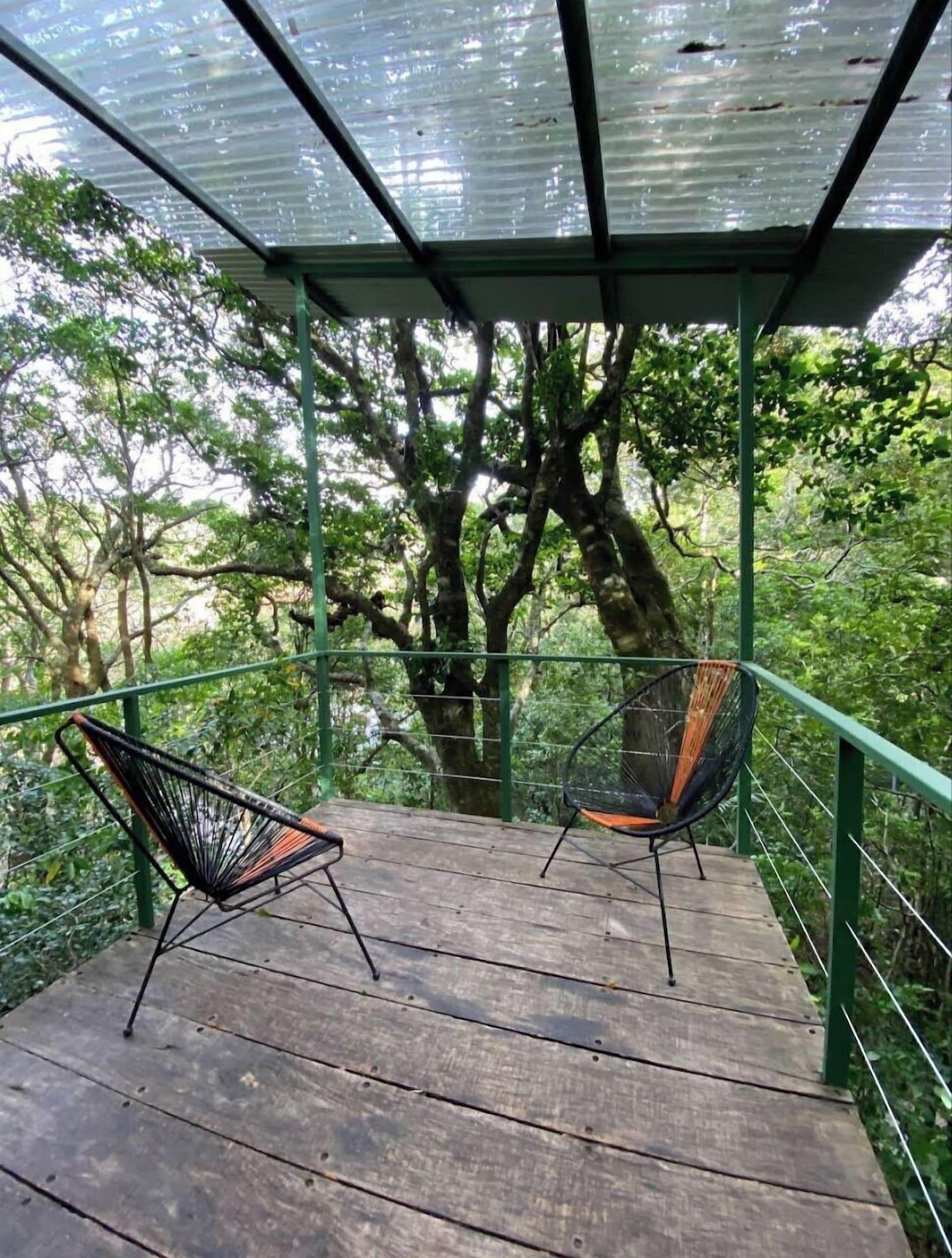 Equipamiento de Habitación The Green Tree Lodge