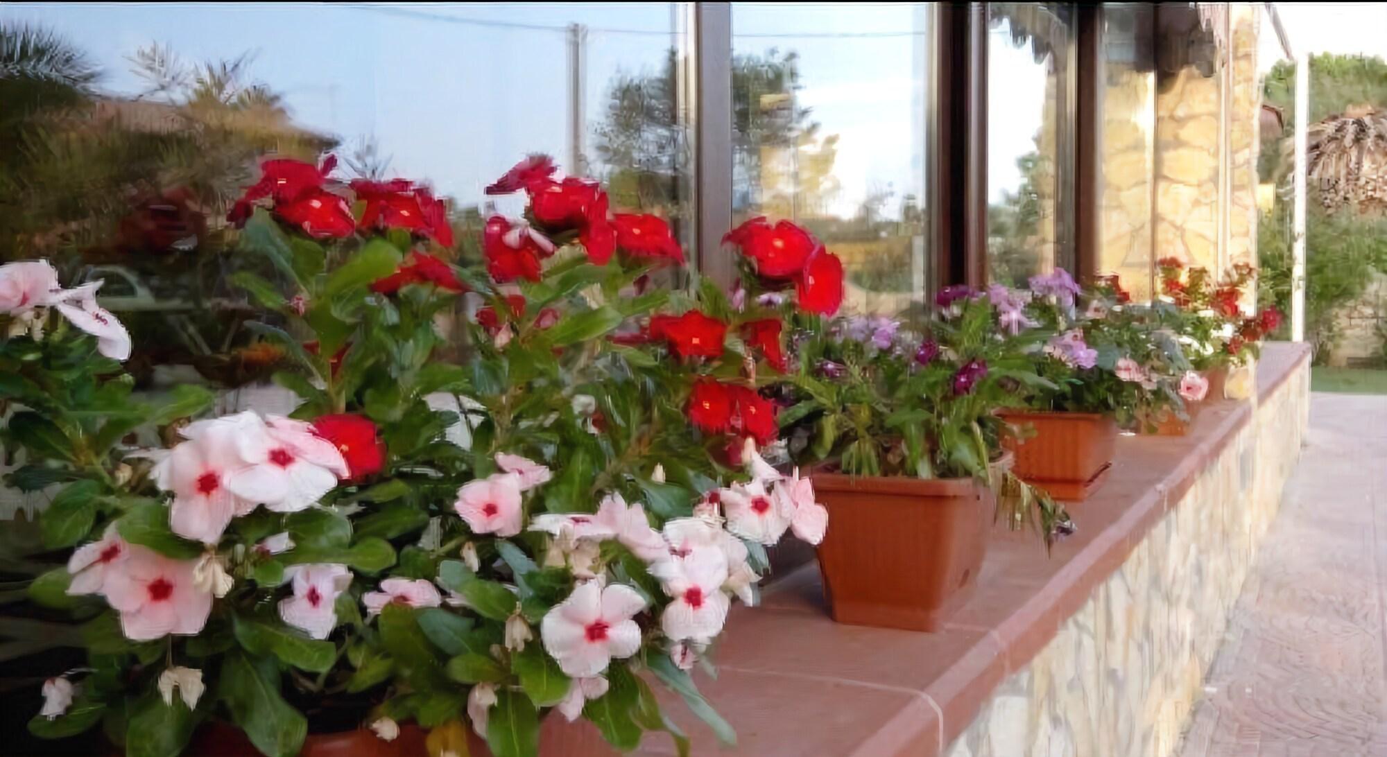 Varios Rudy Arenaile