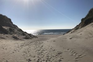 Alquiler Vacacional - Renovated summer house close to the North Sea pure hygge! New E-car connection!