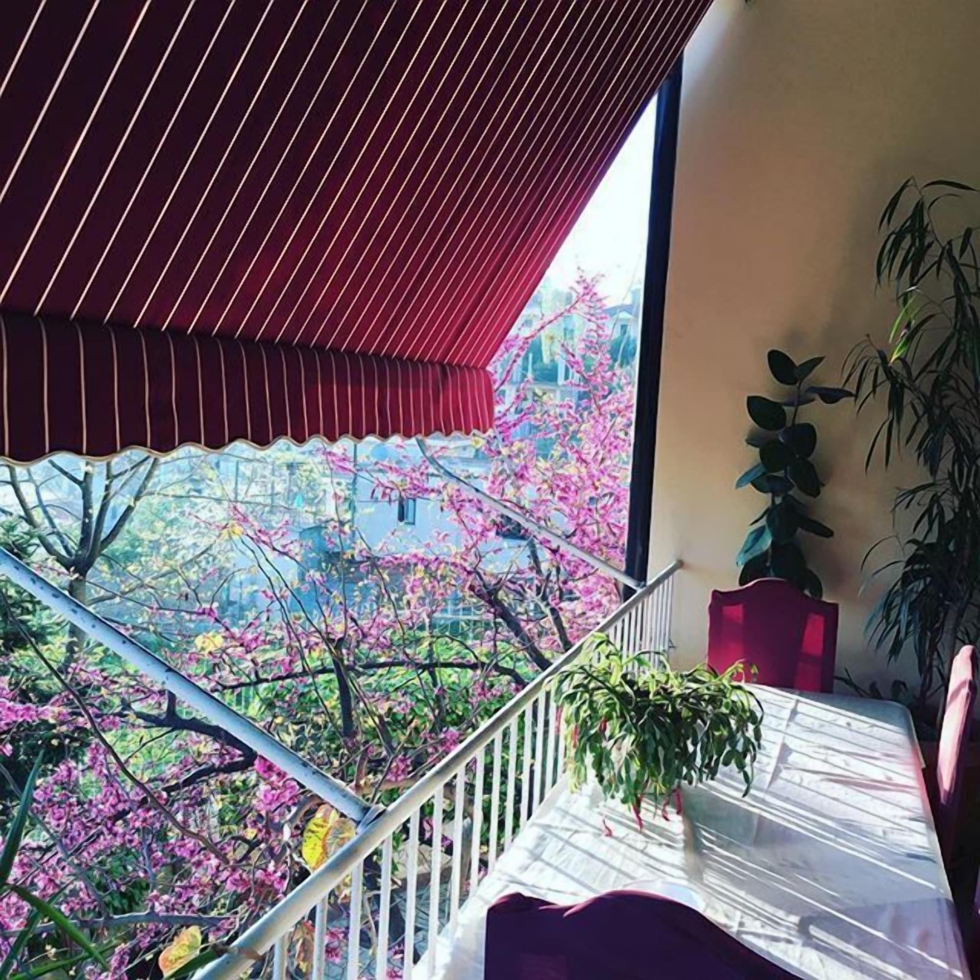 Restaurant Hotel Baron