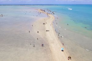 Actividad - Costa del Coral - Maragogi - Playa de Barra Grande