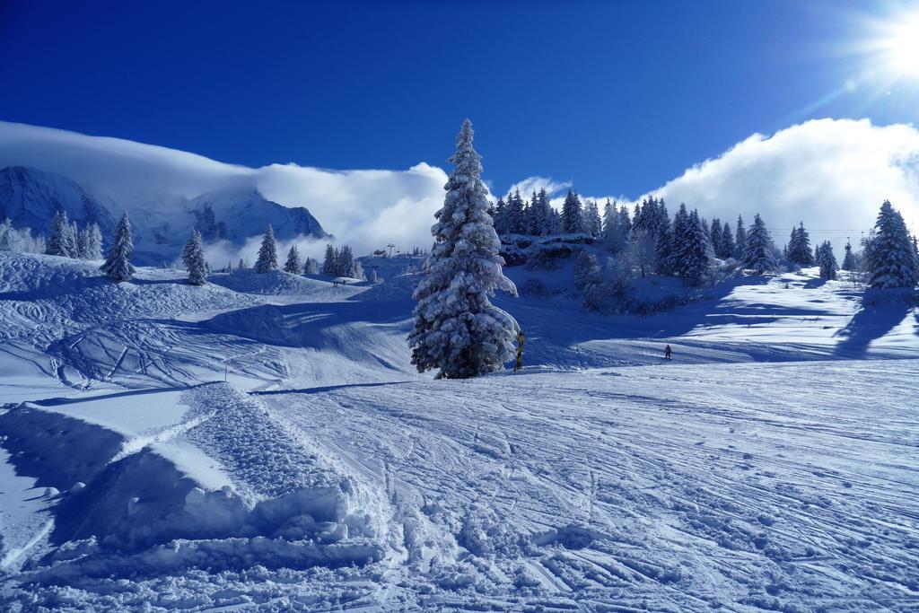 Vista Exterior Chalet Hotel Du Bois