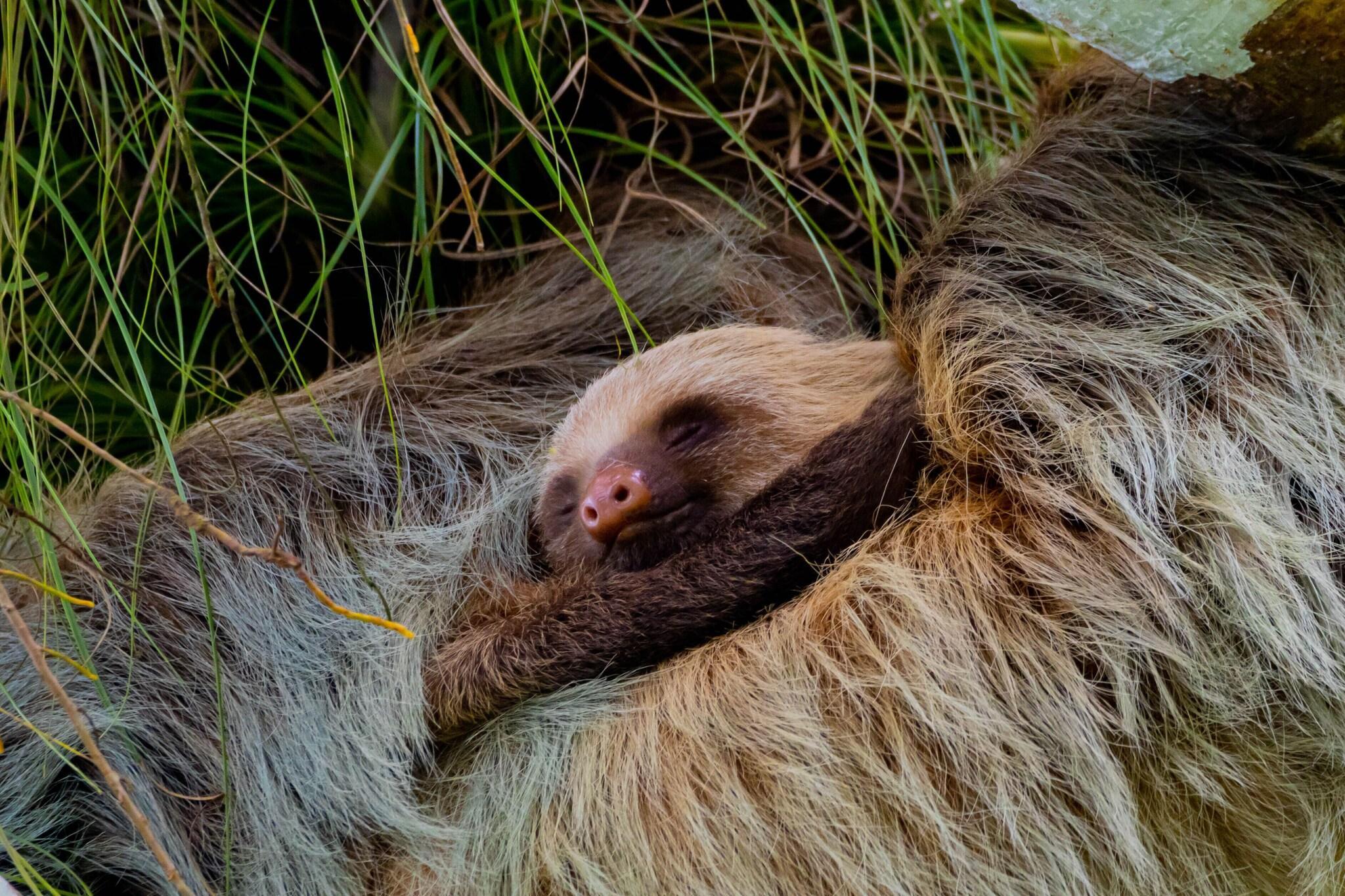 Vista Exterior Noah's Forest by Tifakara