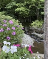 Alquiler Vacacional - Creek Side Cottage in Valle Crucis
