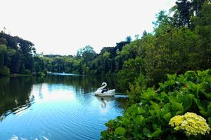 Actividad - Tour Gramado y Canela