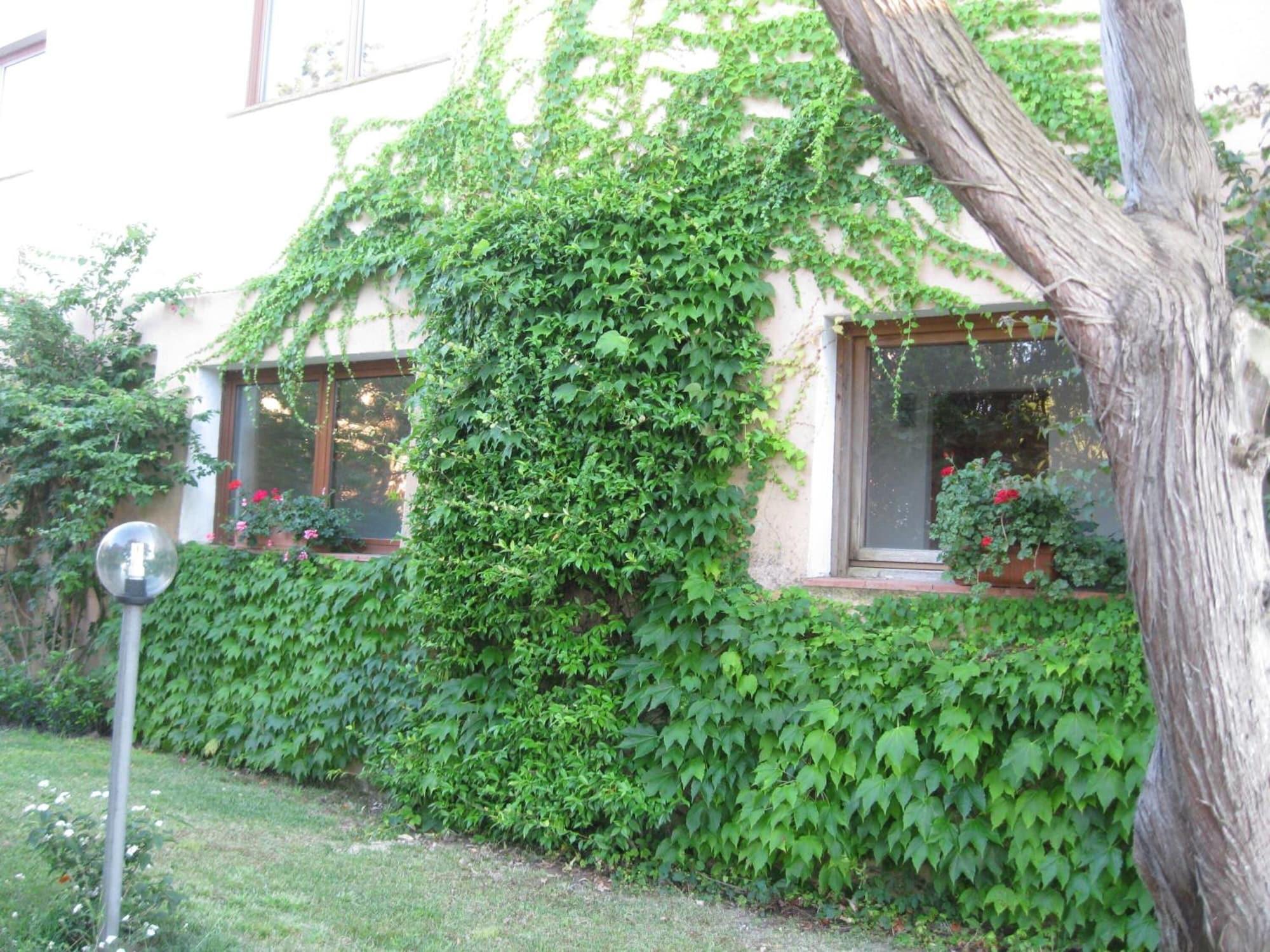 Vista Exterior Hotel Valdiola